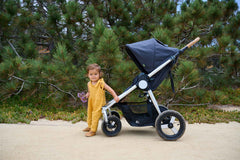 Era - Reversible Stroller - New Collection