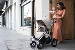 Era - Reversible Stroller - New Collection