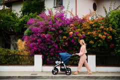 Indie Twin - Double Stroller